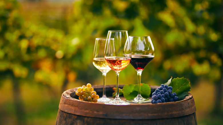 three glasses of wine on barrel in vineyard