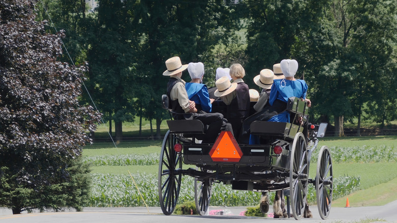 An Amish family rides in a buggy