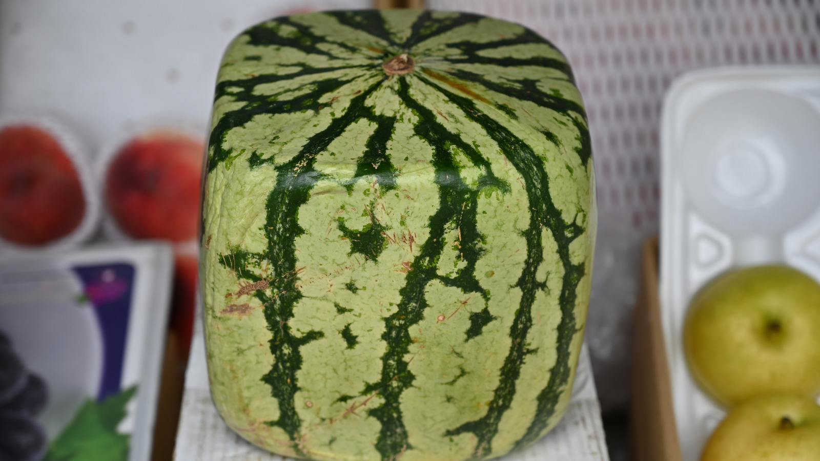 square watermelon mold