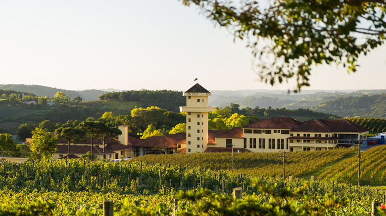 winery in Serra Gaúcha, Brazil