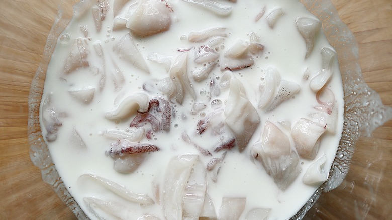 Squid pieces sitting in buttermilk 