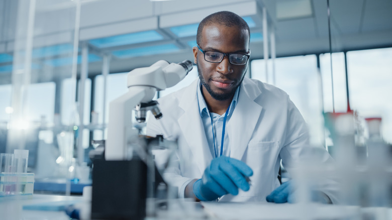 A scientist in a lab