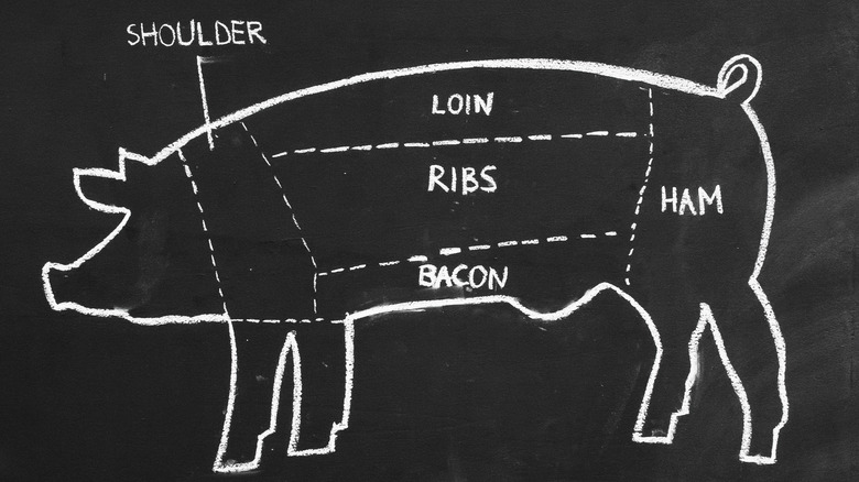 Drawing of a pig and its parts.