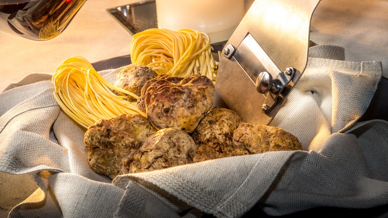 White truffles with dry pasta