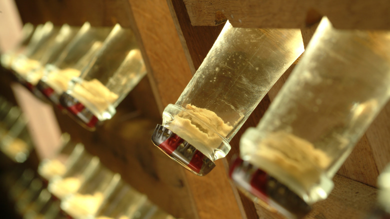 Yeast collecting in a bottle of champagne