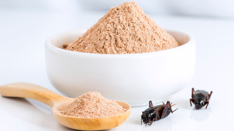 A bowl of cricket powder