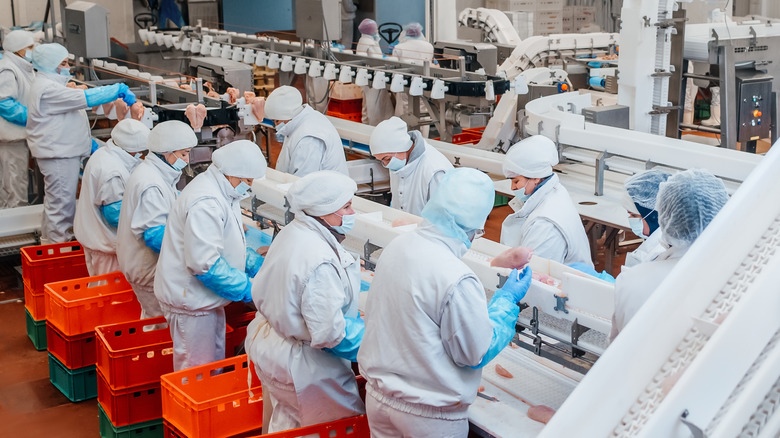 workers in a meat-packing facility