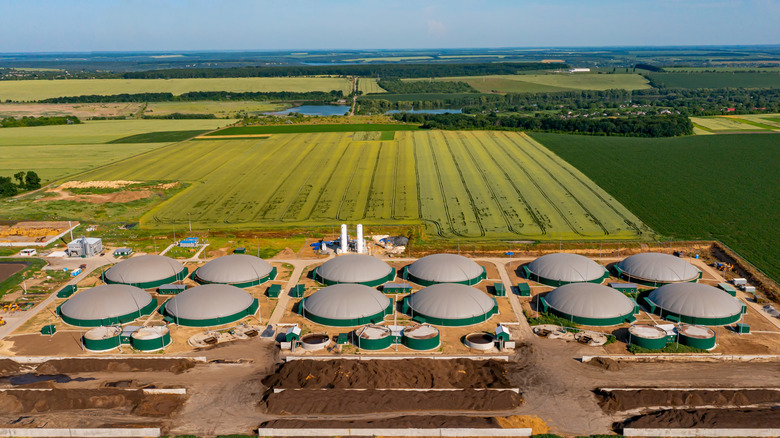 Tanks used to convert farm waste into biogas 