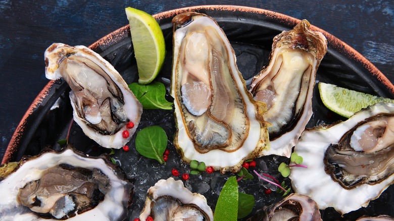 Fresh raw oysters