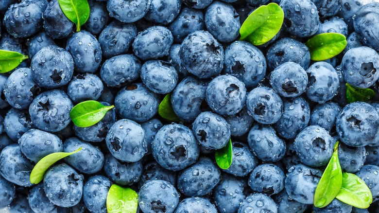 Close-up of fresh blueberries