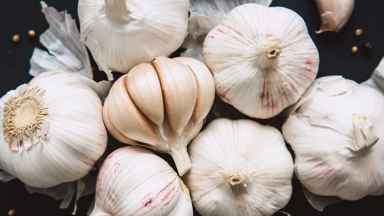 Bulbs of garlic