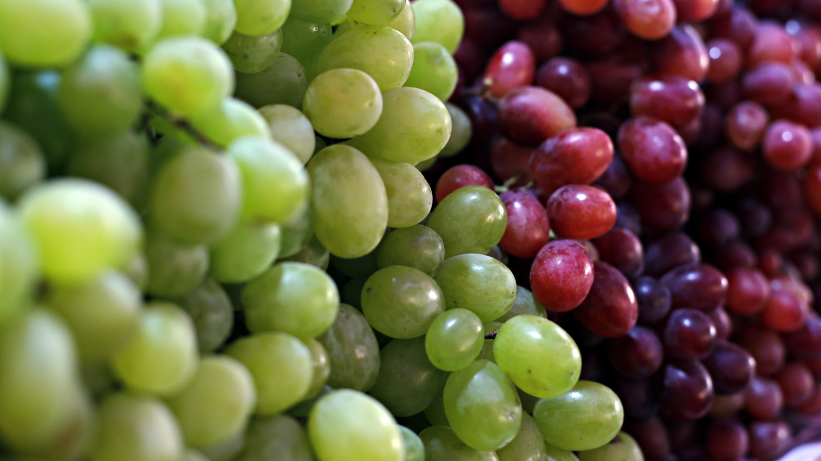 Price Chopper Supermarkets - We're celebrating the greatness of grapes!  Check out our Guide to Grapes to learn more about the different varieties,  sizes, shapes, and tastes. You'll even find new ways