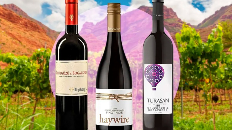 wine bottles with mountain landscape