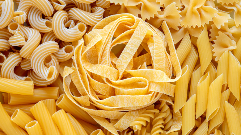 different types of pasta