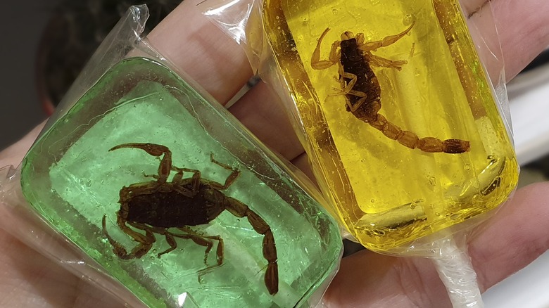 Hand holding two scorpion lollipops