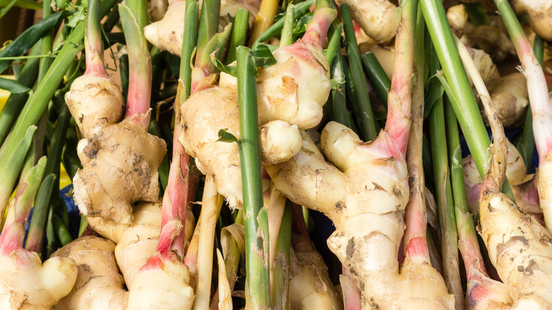 Fresh ginger root