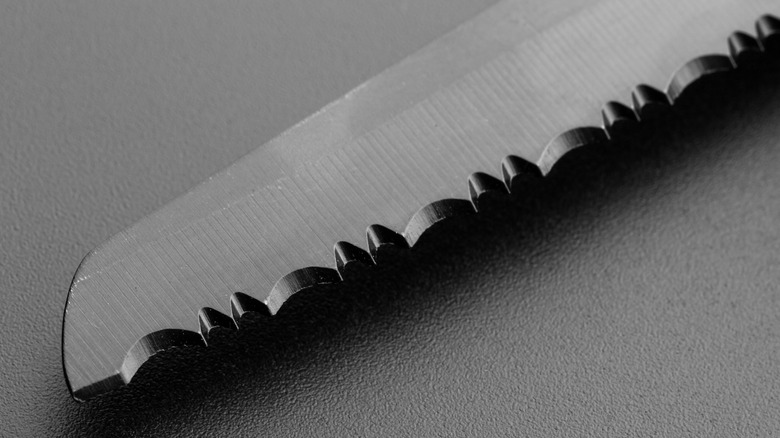 Closeup on double serrated knife blade