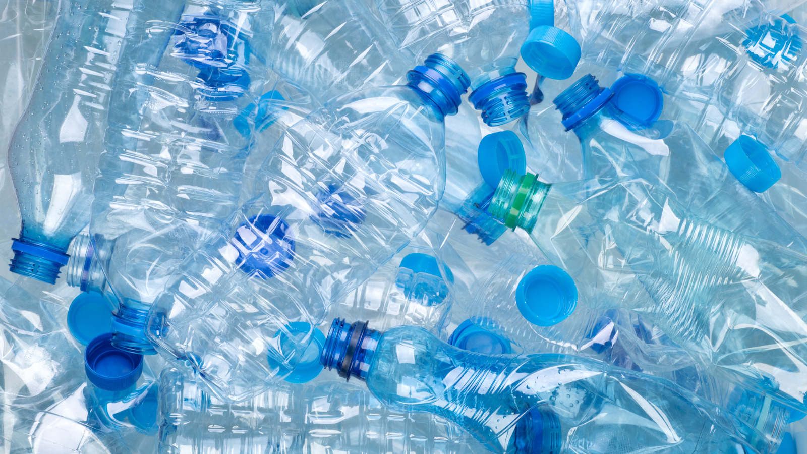 Why It s A Bad Idea To Reuse Plastic Single Use Water Bottles