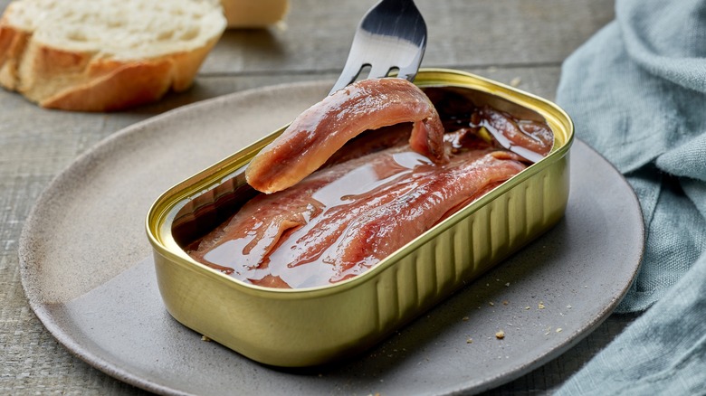 canned anchovies 