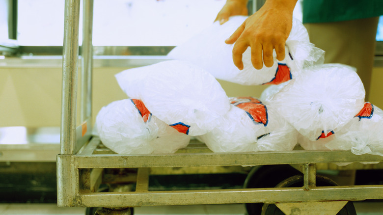 Hands stacking bagged ice