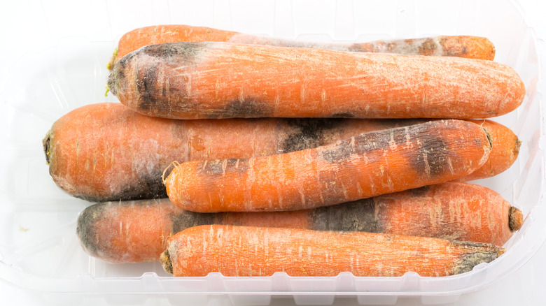 moldy carrots, white background