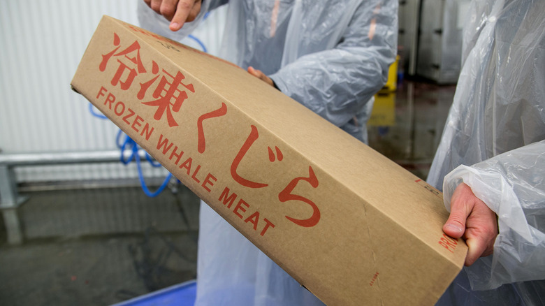 Box of frozen whale meat, Japan