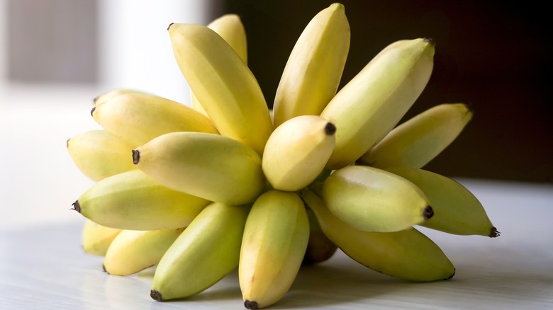 Lady Finger banana bunch on table