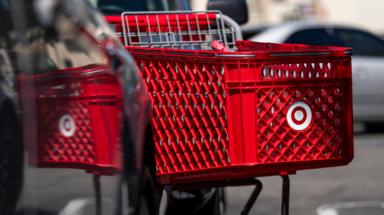 customer shopping at target