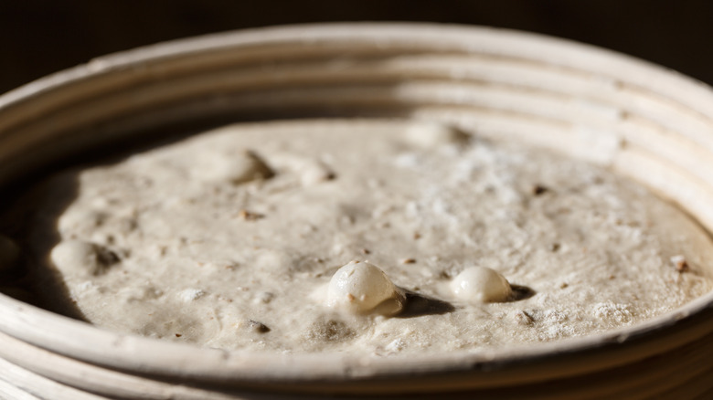 Bread proofing in a ceramic dish