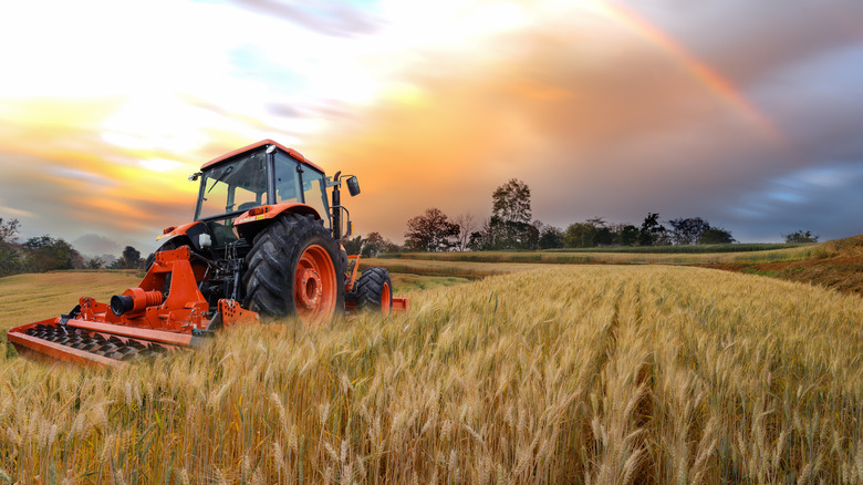 Tractor in a field of barley 