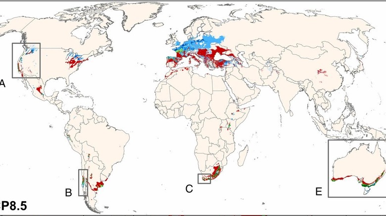 Global climate change map indicating wine region changes