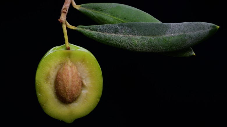 green olive exposed pit, leaf