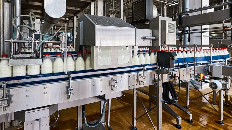 Pasteurized milk bottle production line