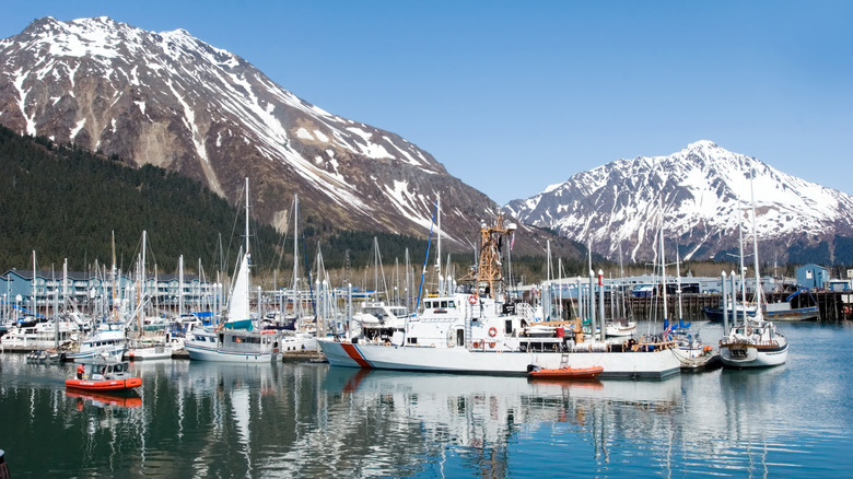 Alaska marina 