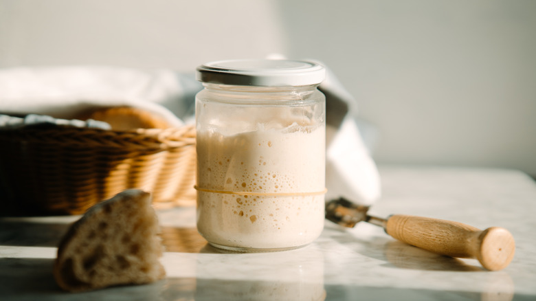 Bubbly sourdough starter in a jar on counter