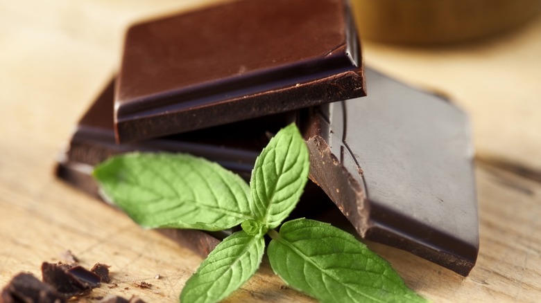 Dark chocolate squares with fresh mint leaves