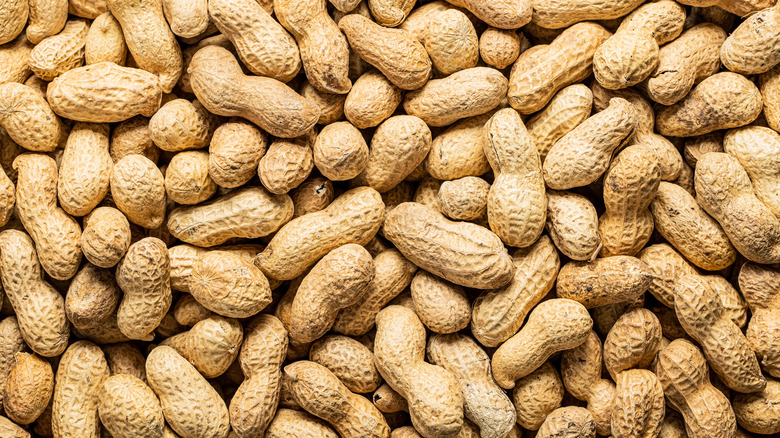 Shelled peanuts