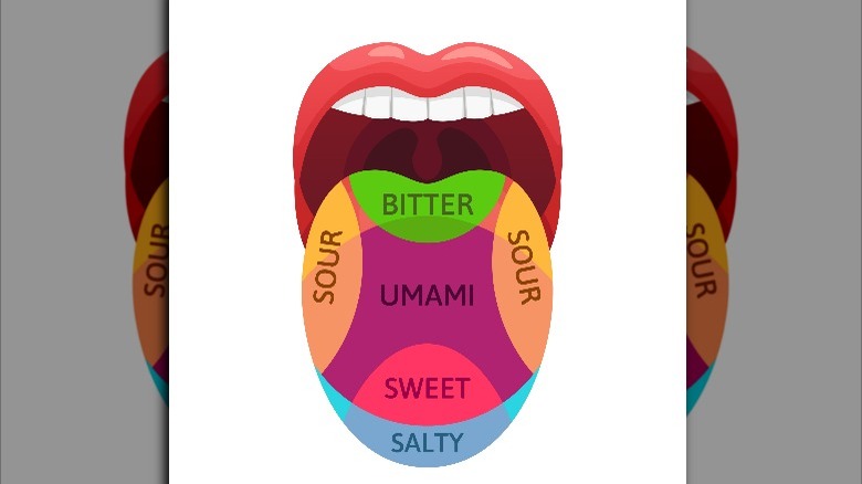 tastebud map of the tongue