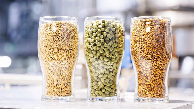 Glasses with malted wheat, barley and hops