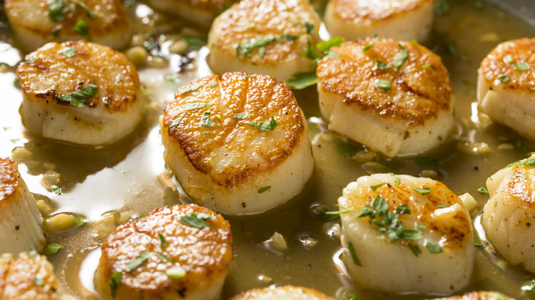 Close up of seared scallops