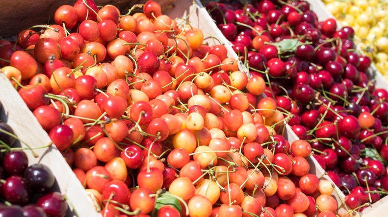 assorted cherries on display