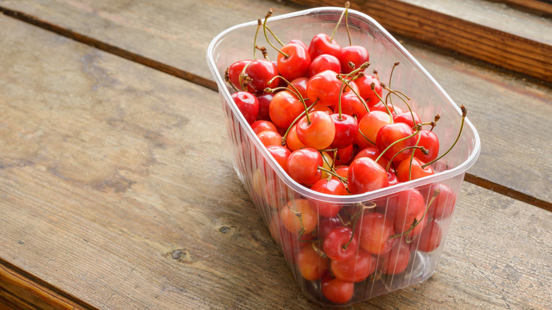 Morello cherries in plastic container