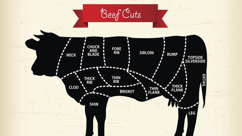 Beef cuts layout