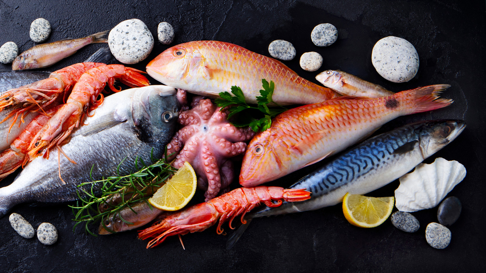 Page 10 | Authentic Seafood Images - Free Download on Freepik