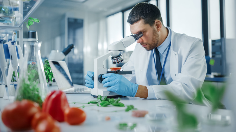 Scientist analyzing food