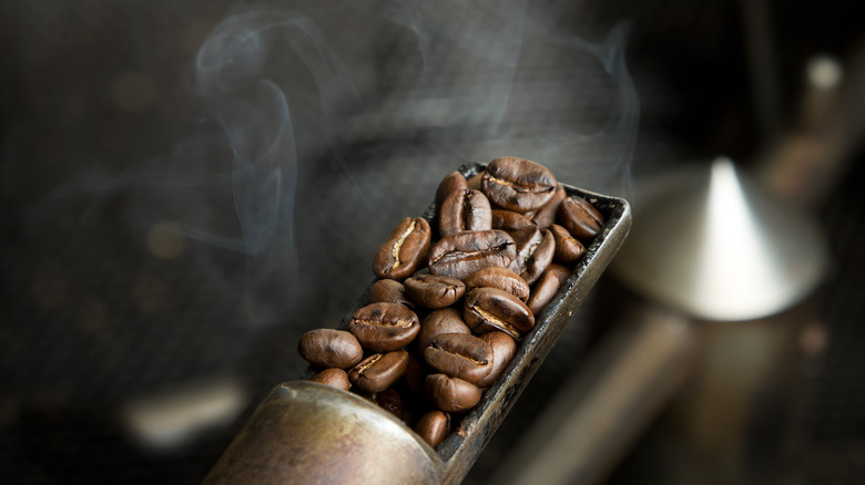 roasted coffee beans with steam