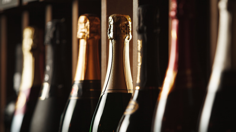 Row of bottles in a cellar