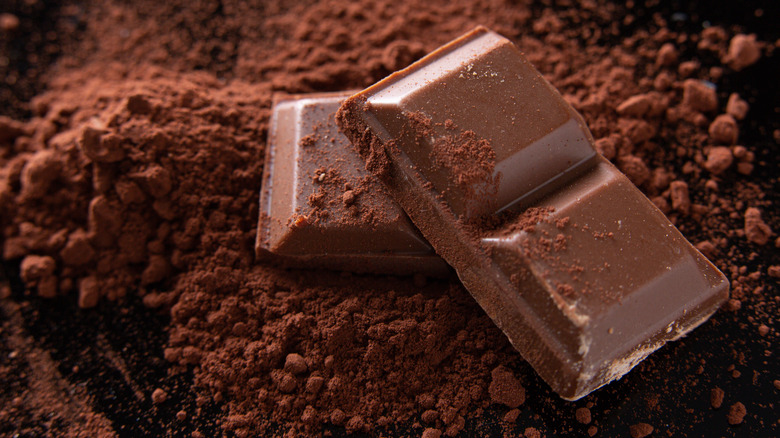 Dark chocolate on cocoa powder