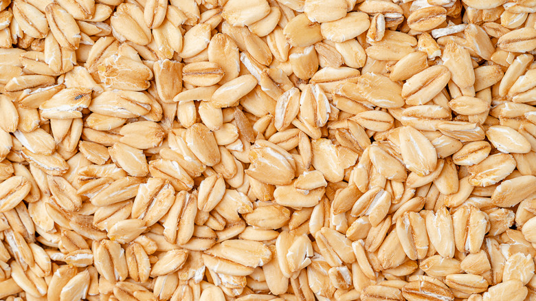 large group of oats