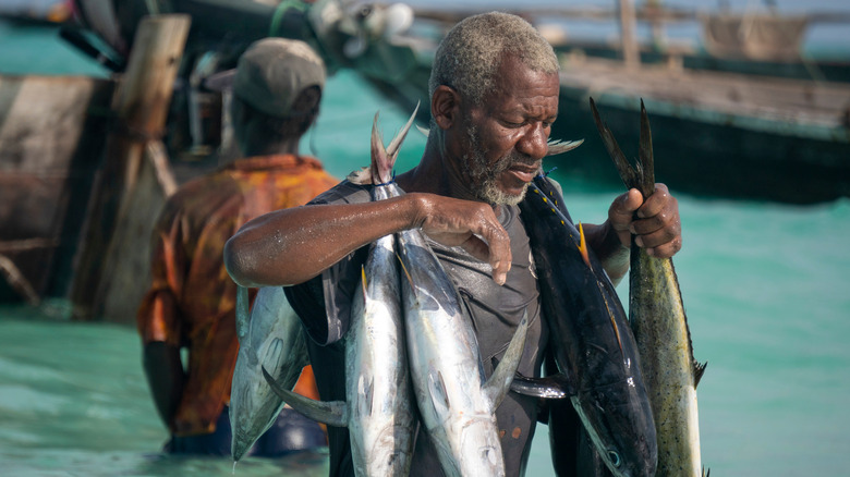 Maldivian fisherman carrying tuna